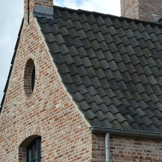 0007082_recuperatie-dakpannen-ovh-blauw_550.webp